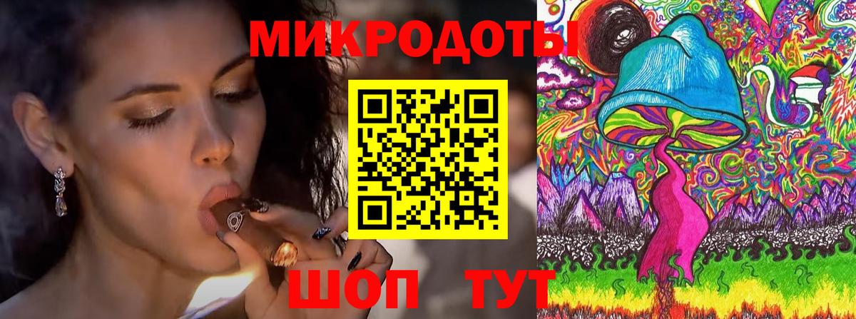 Псилоцибиновые грибы Psilocybe Фролово