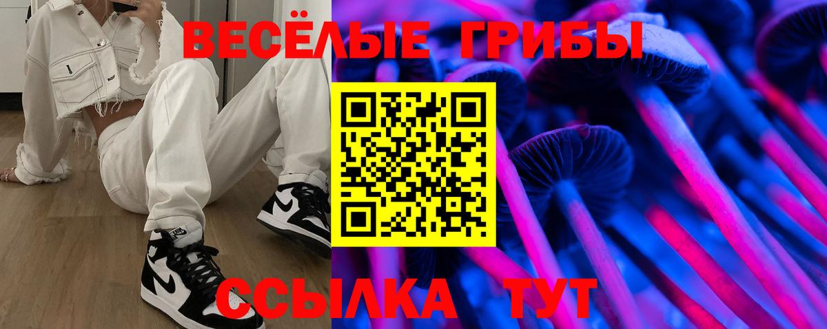 Фролово  Галлюциногенные грибы мухоморы  Вход с VPN 